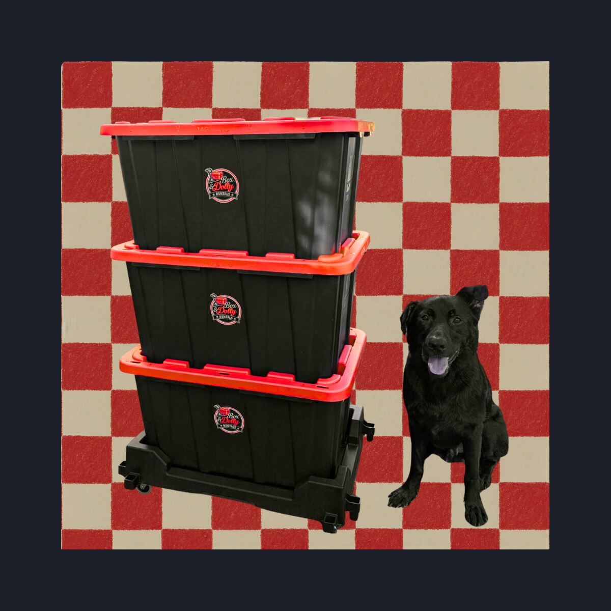 Stack of Box & Dolly Rentals moving totes on a dolly, with the shop dog sitting alongside